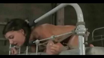 שני אמריקאים בוגרים אסיאתים מזדיינים בסלון. סקס חינם חיות