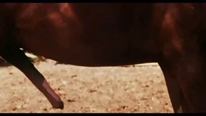שחקנית מזדיינת קשה סקס בלייב מין חינם בליהוק